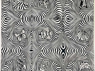 Lynne Casson, Zoo Motion Illusion, AQA Award
